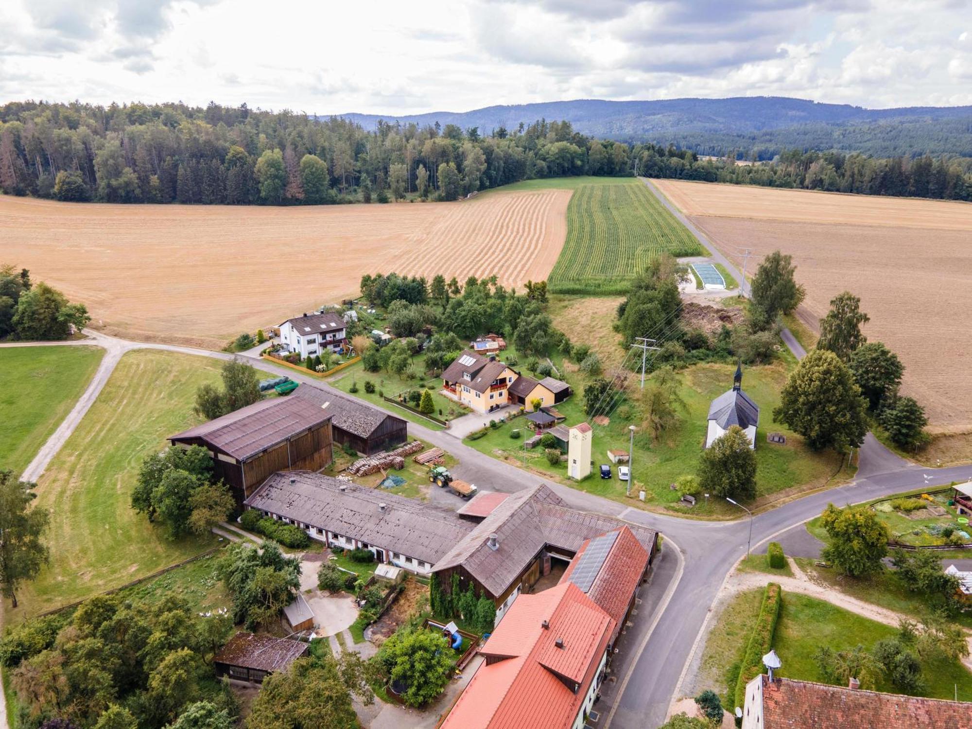 Ferienwohnung Baecher Wiesau Extérieur photo